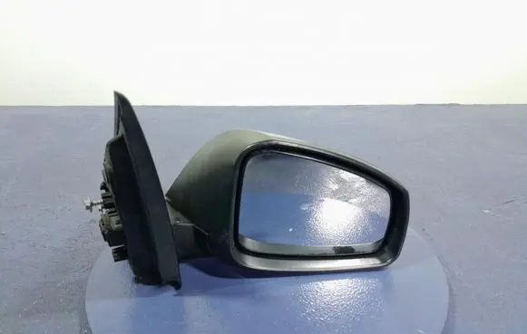 Renault Laguna III Front door electric wing mirror