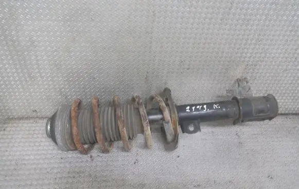 Opel Zafira B Front shock absorber with coil spring