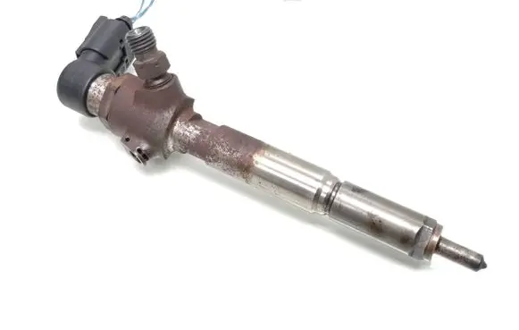 Nissan Qashqai Fuel injector 166009445R H8200294788
