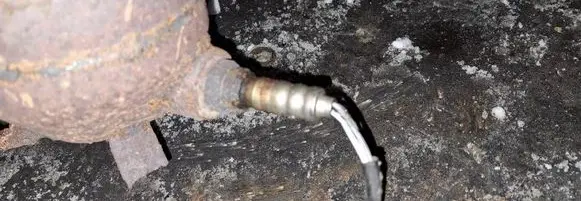 Nissan Primera Lambda probe sensor 