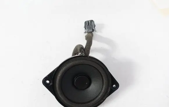 Bentley Flying Spur Front door speaker 3W0035411R