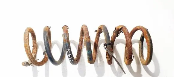 Ford Focus C-MAX Rear coil spring