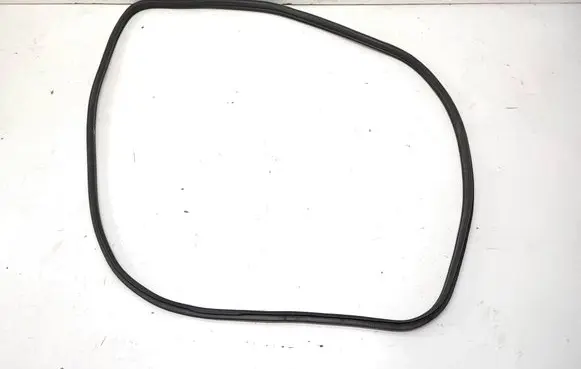BMW X6 E71 Front door rubber seal 