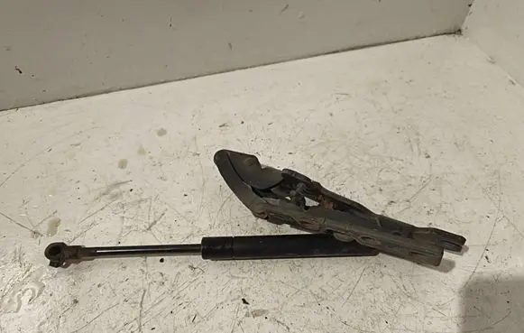 BMW X5 E53 Engine bonnet/hood hinges 8402174