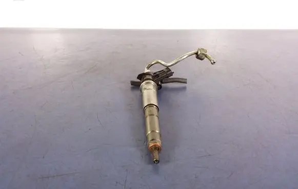 Renault Espace - Grand espace IV Fuel injector 804554BH82409395