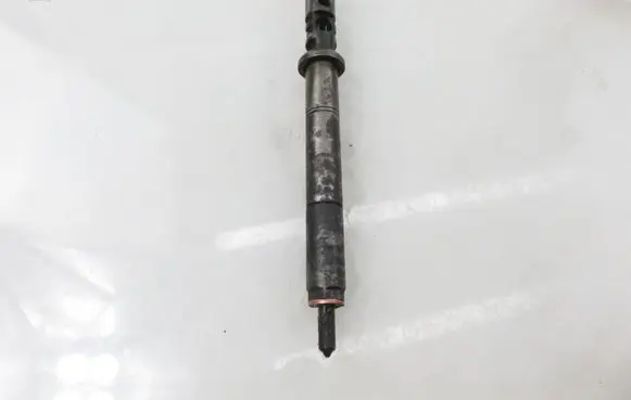 Citroen C3 Fuel injector EJBR01001A 9650059780