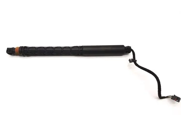 Tailgate strut