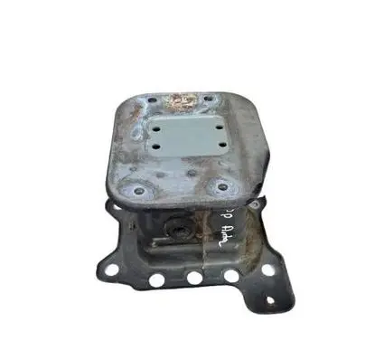 Opel Antara Front bumper support beam 94526075