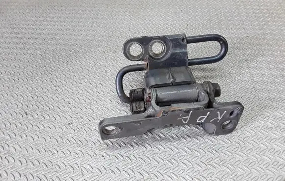 Volkswagen Phaeton Front door lower hinge 3D4831411B