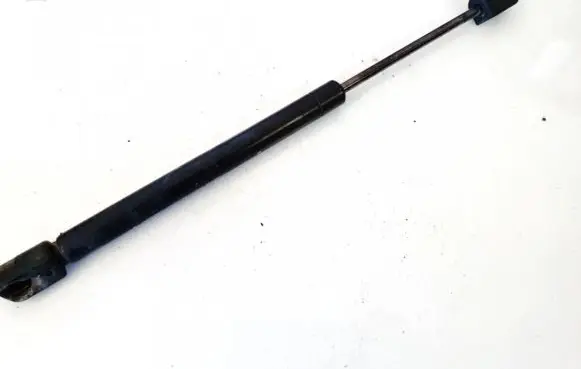 Chrysler 300 - 300C Tailgate/trunk strut/damper 24359 77311