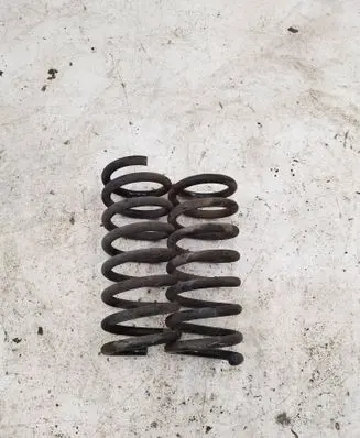 Opel Antara Rear coil spring 