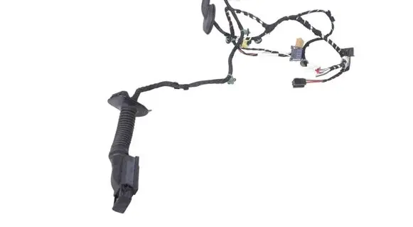 Volkswagen T-Roc Front door wiring loom 2GB971121AN