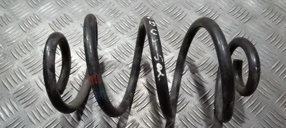 Renault Modus Rear coil spring