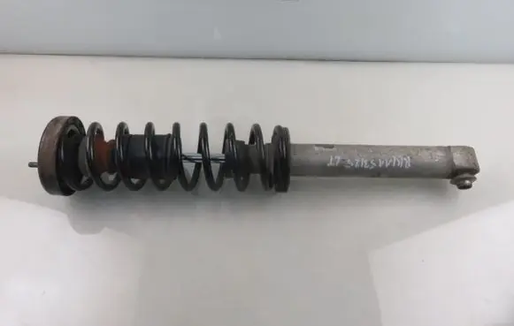 BMW 5 E39 Rear shock absorber with coil spring RA6275