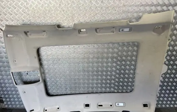 Audi Q5 SQ5 8R Headlining 8R0867501A