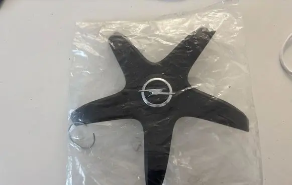Opel Cascada Original wheel cap 13361803 GR48006
