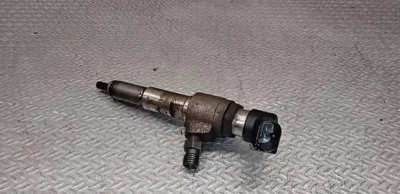 Citroen C5 Fuel injector 9674973080 50274V05