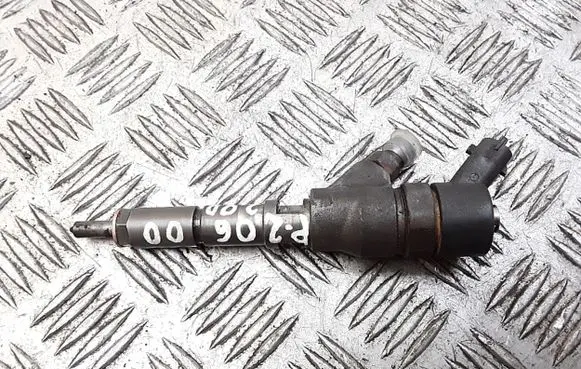 Peugeot 206 Fuel injector 0445110044
