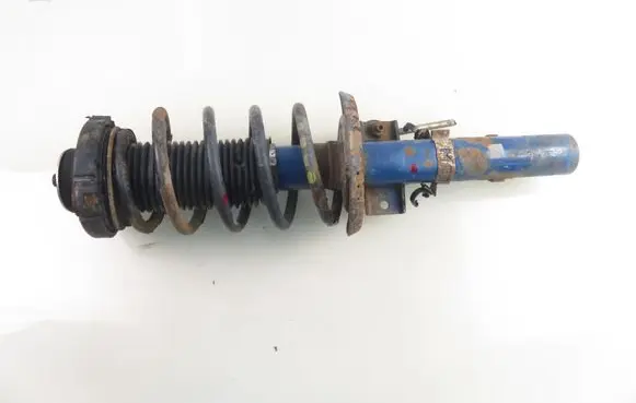 Skoda Roomster (5J) Front shock absorber with coil spring 