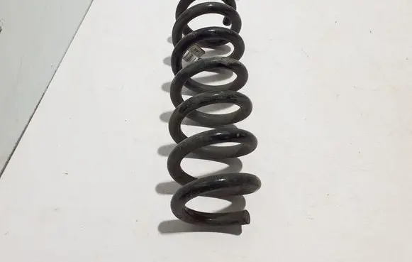 Rear coil spring