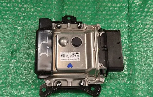 Hyundai Santa Fe Other control units/modules 296102FFX5 0281035547 1039T25556