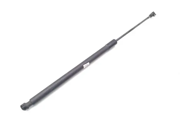Tailgate/trunk strut/damper
