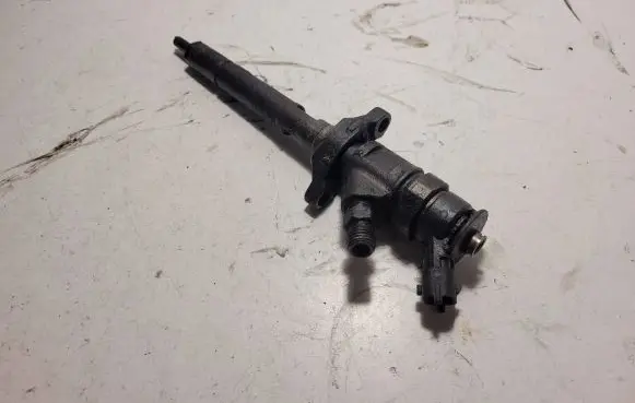 Peugeot Partner Fuel injector 0445110311 70H5120