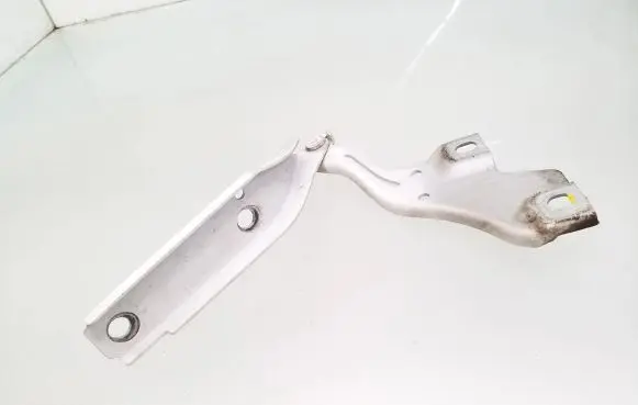 Volkswagen PASSAT B8 Engine bonnet/hood hinges 3G0823301