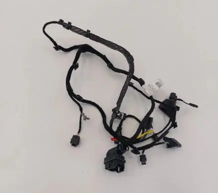 Front door wiring loom