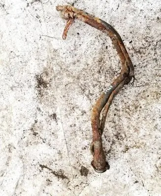 Fuel tank filler neck pipe