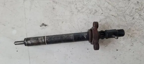 Citroen C5 Fuel injector 9656389980 EJBR03801D 312FB11F53