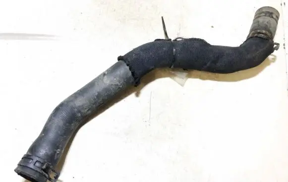 Renault Scenic I Engine coolant pipe/hose