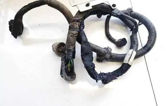 Nissan Leaf I (ZE0) Other wiring loom 240113nl1a