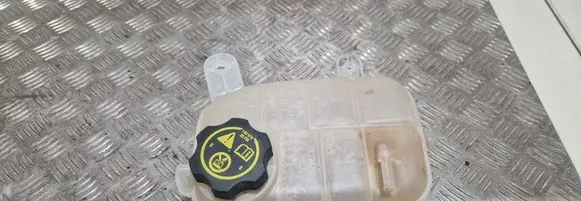 Opel Mokka Coolant expansion tank/reservoir 95380033