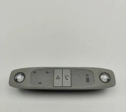 Tesla Model 3 Front seat light 109257299C