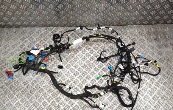 Citroen Jumpy Other wiring loom 8G24A8TSI752