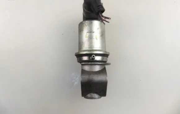 Volkswagen Bora EGR valve 2035230