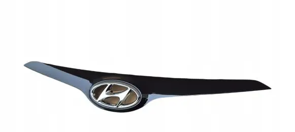 Hyundai i30 Front grill