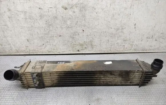 Renault Laguna III Intercooler radiator 144060001R