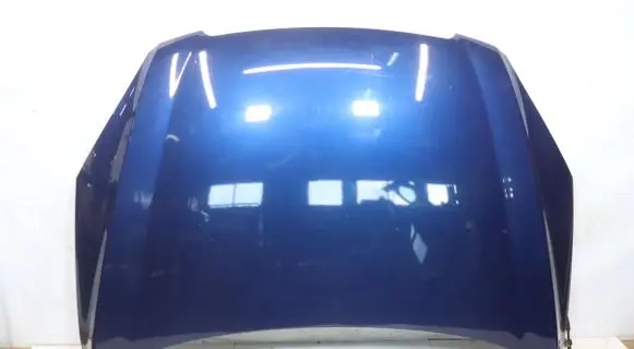 Engine bonnet/hood