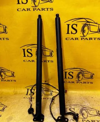 Ford Kuga III Tailgate strut LV4BS402A55AC LV4BS402A54AC