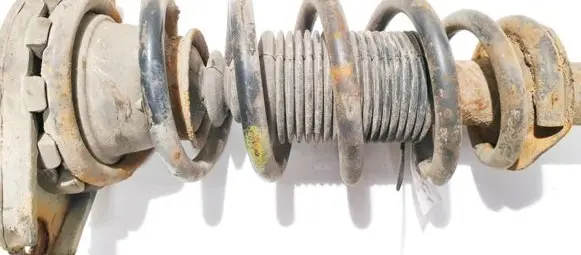 Nissan Primera Rear coil spring