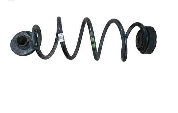 Rear coil spring