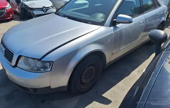 Audi A4 S4 B6 8E 8H Front door ADIA4B6DRZWILP