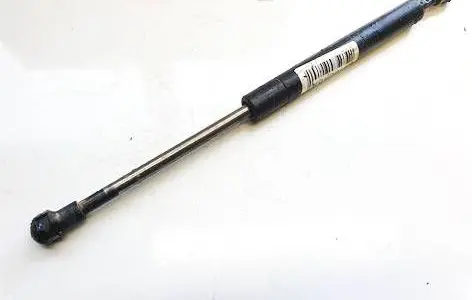 Tailgate/trunk strut/damper