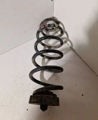 Rear coil spring