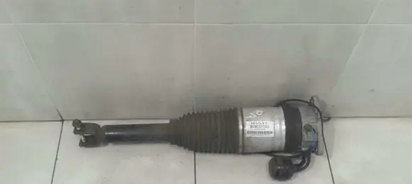 Bentley Continental Air suspension rear shock absorber 3W0616002E