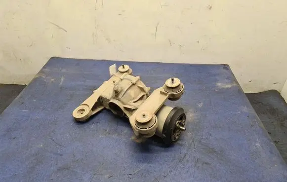 Renault Scenic I Rear differential