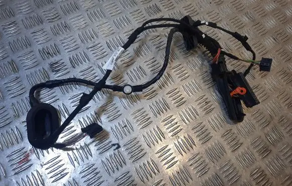Volkswagen Jetta VI Rear door wiring loom 5CU971694