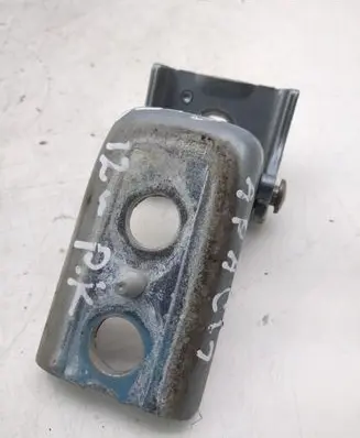 Citroen DS5 Front door lower hinge 